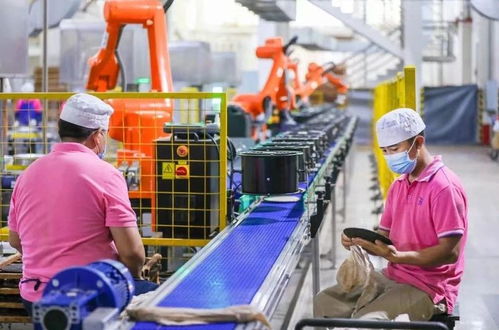 全省唯一 大益上榜全國(guó)第二批 工業(yè)圖強(qiáng) 企業(yè)史志鑒優(yōu)秀名單